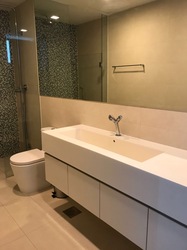 The Rochester Residences (D5), Apartment #161563122